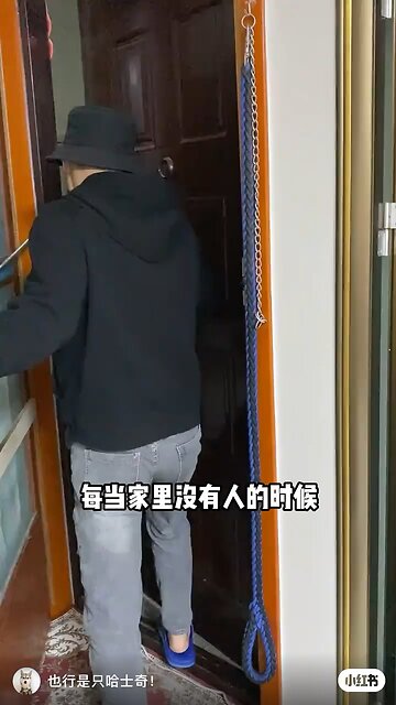 Funny Animals 8| Funny Animals Dog| Takamaga