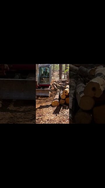 Mom using the EXCAVATOR!