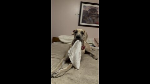 Gert and a bath