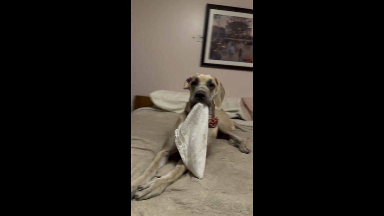Gert and a bath