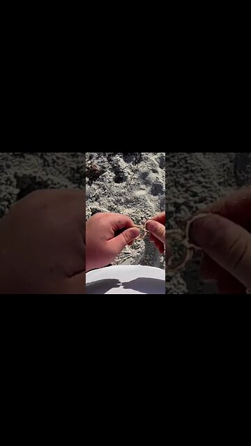 Metal Detecting Florida Beach For Treasure & Jewelry