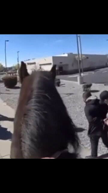 Cop Chases and Catches Suspect On Horseback
