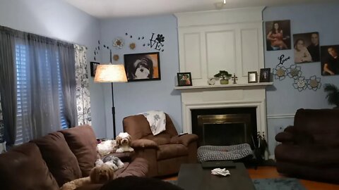 J Litter- Getting Big (10/28](2)