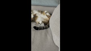Sleeping