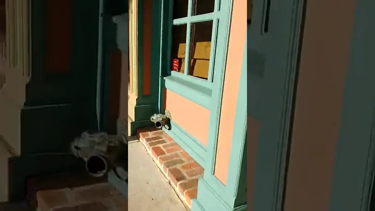 August 13, 2022 #gangstalking perp walk Pt. 1