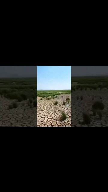 China: Récord de +45°C, el lago de agua dulce más grande se ha reducido en un 75%. Mucho Calor!