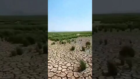 China: Récord de +45°C, el lago de agua dulce más grande se ha reducido en un 75%. Mucho Calor!