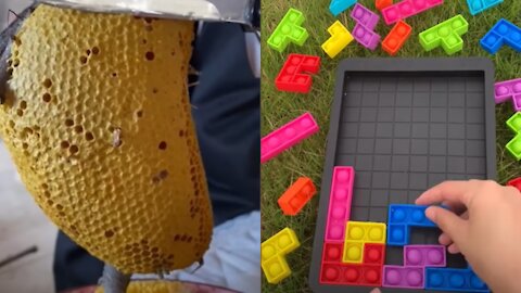 Videos That Satisfy Millions of Viewers Around the World