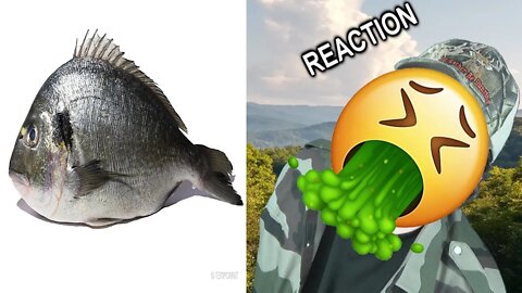 Fish Eaten By Maggots Timelapse REACTION!!! (BBT)