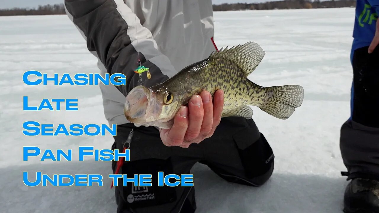 Icing Panfish in Minnesota