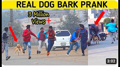 Real Dog Bark Prank