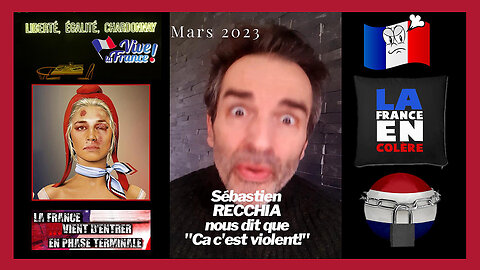 Sébastien RECCHIA nous parle de la violence du "pouvoir" en France (Hd 720)