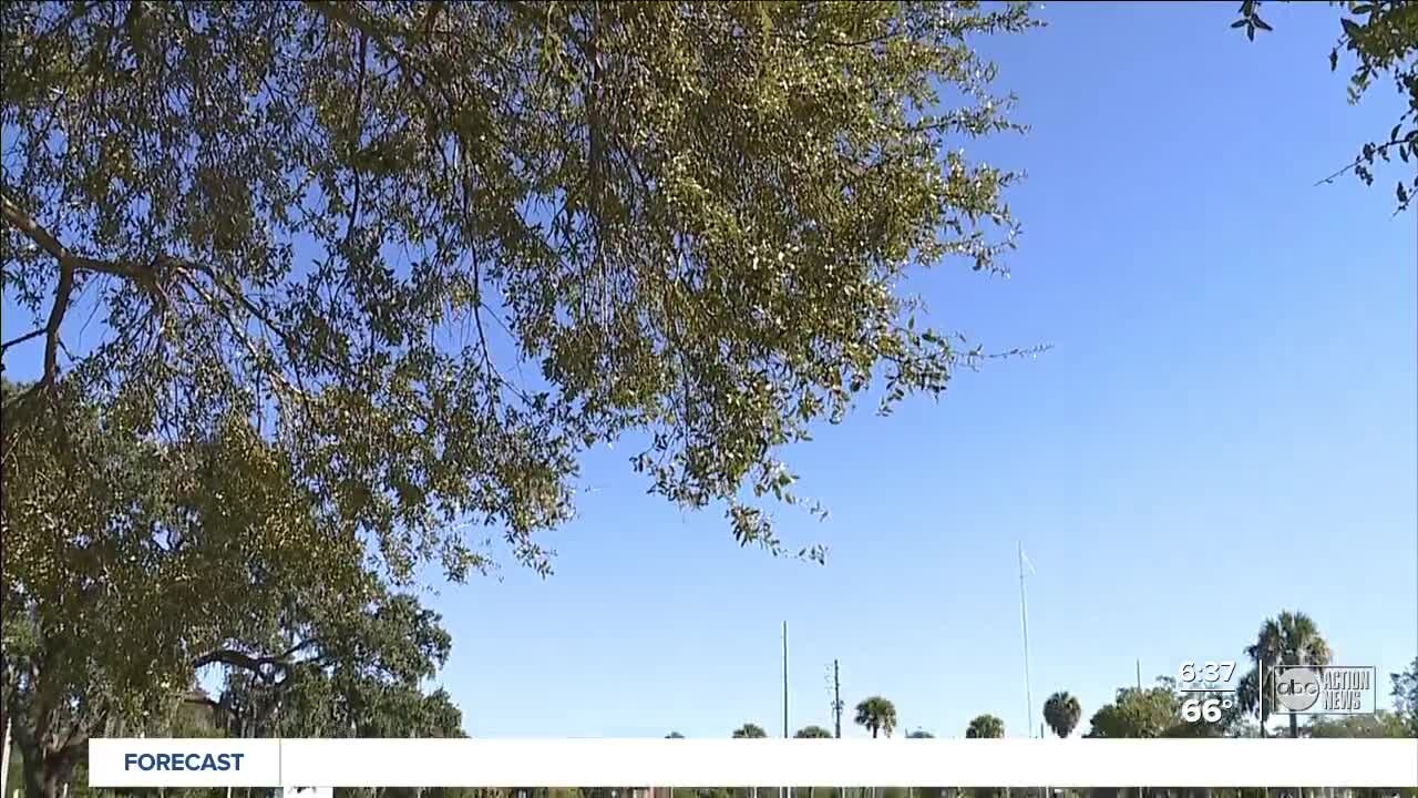 Oldsmar split on change that could allow more apartments in downtown redevelopment