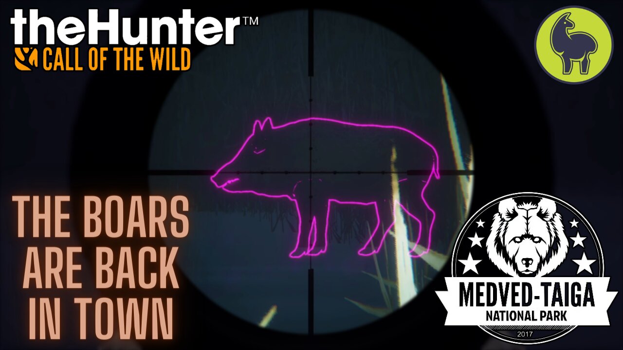 The Boars are Back in Town, Medved Taiga | theHunter: Call of the Wild (PS5 4K)