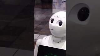 Talking to a Robot #robot #pepper #shorts #robotics