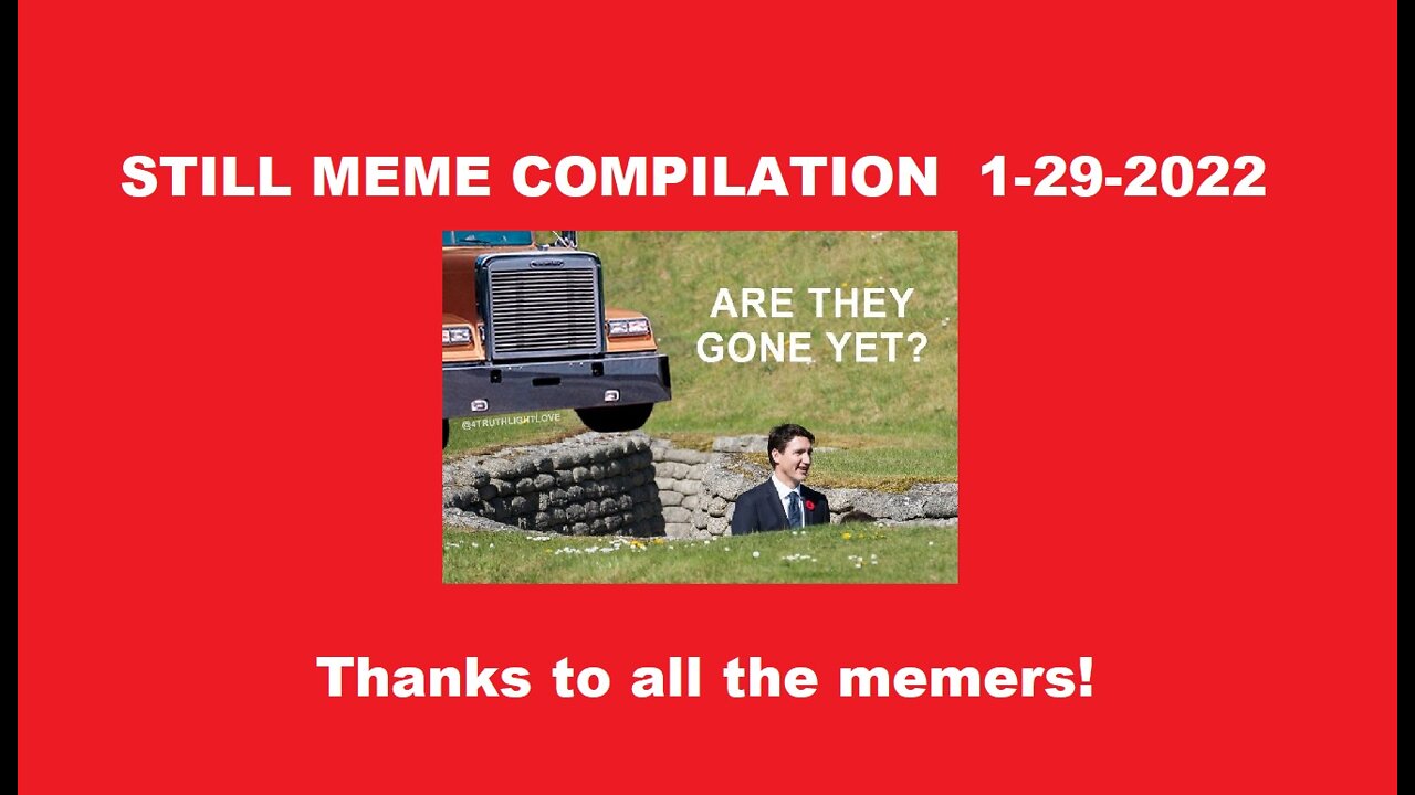 Still Meme Compilation 1-29-2022