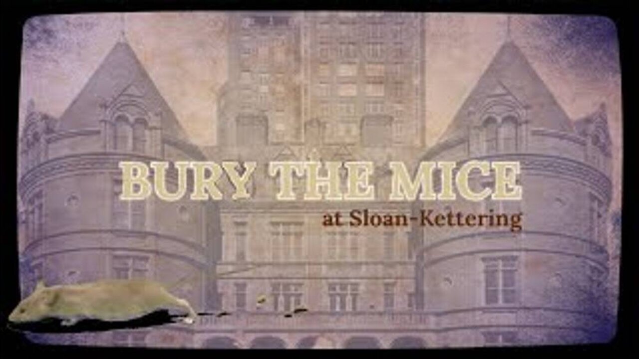 BURY THE MICE at Sloan-Kettering