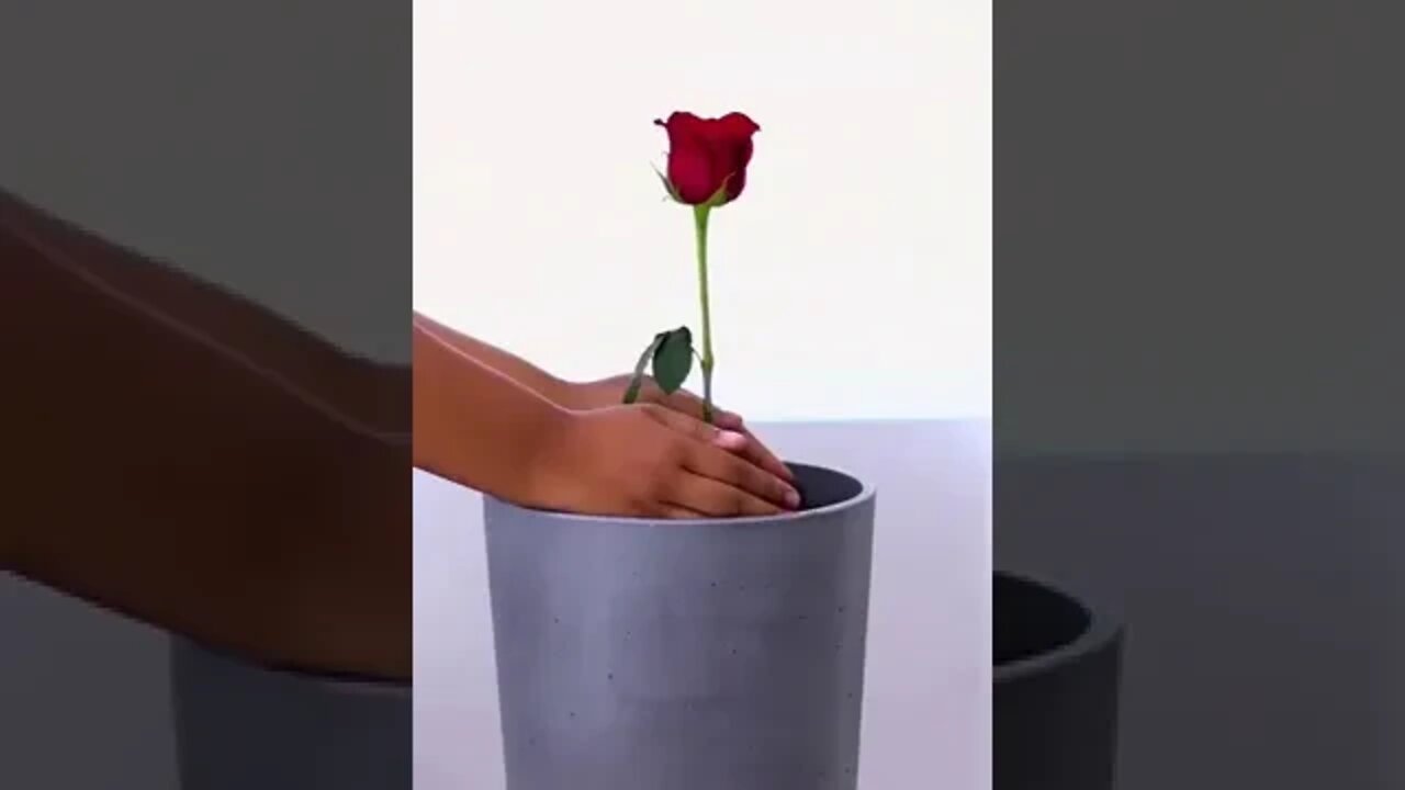 Criativo