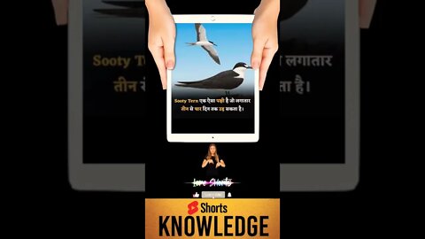 Motivational Quotes Intresting Facts & research #shorts #ytshorts #knowledge #motivation #yogi