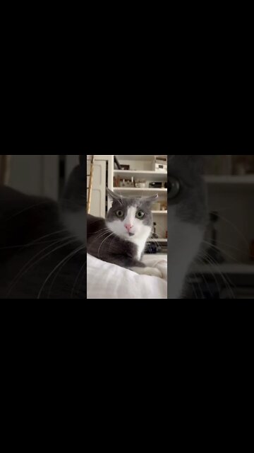 amor a primeira vista😍😍