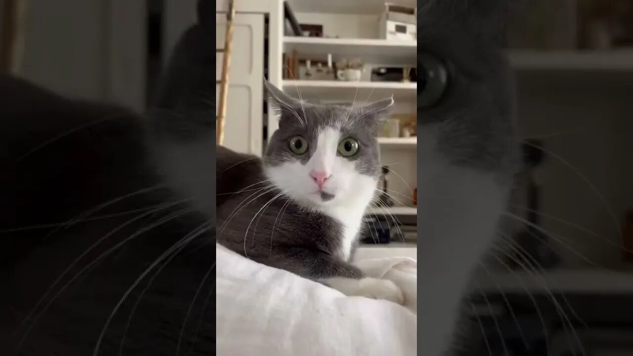 amor a primeira vista😍😍