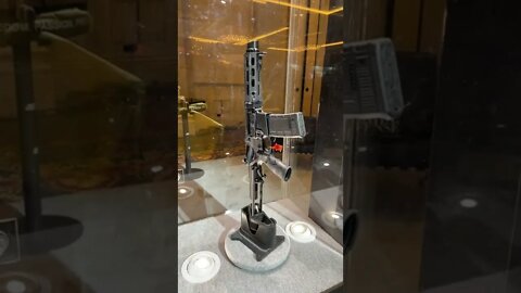 Daniel defense AR display
