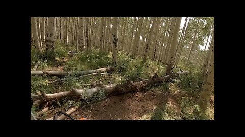 Uncompahgre National Forest - Powerline Trail 541