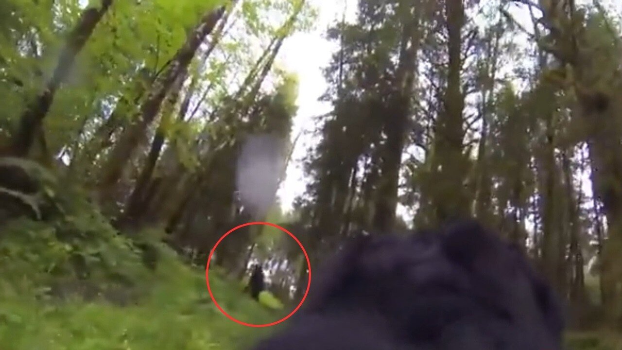 Most UNSETTLING Trail Cam Footage Caught on Camera