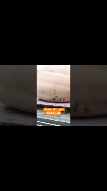 How to transport a 1 ton pumpkin