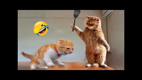 Cute and Funny Animal Video😂|| Funniest Viral Puppy Cat clips