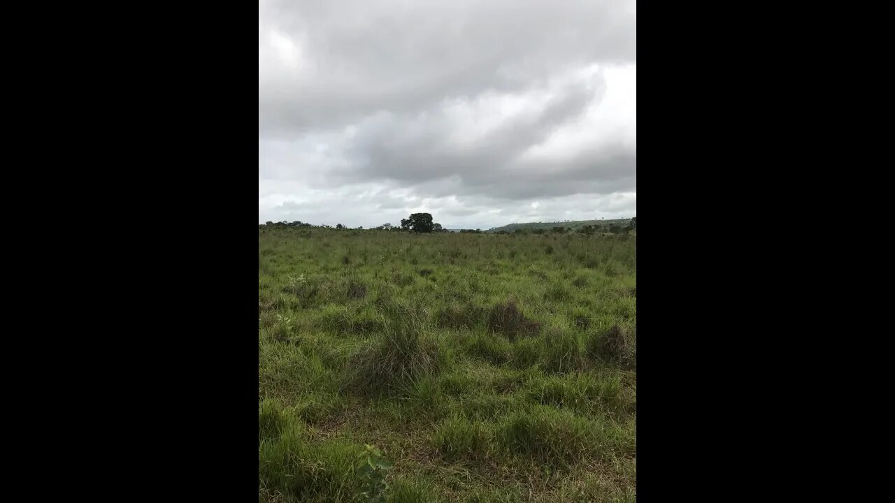 Fazenda para agricultura soja Mato grosso 1752 hactares