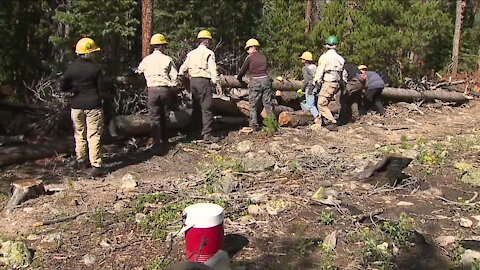 Denver7 Gives donates $15,000 to Poudre Wilderness Volunteers for wildfire restoration efforts