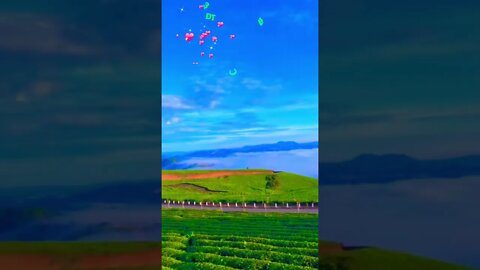 #short xu hướng YouTube nhạc ngắn - nghe là nghiện 🥰🥰❤️❤️❤️❤️❤️❤️❤️❤️❤️