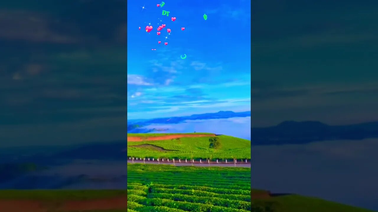 #short xu hướng YouTube nhạc ngắn - nghe là nghiện 🥰🥰❤️❤️❤️❤️❤️❤️❤️❤️❤️