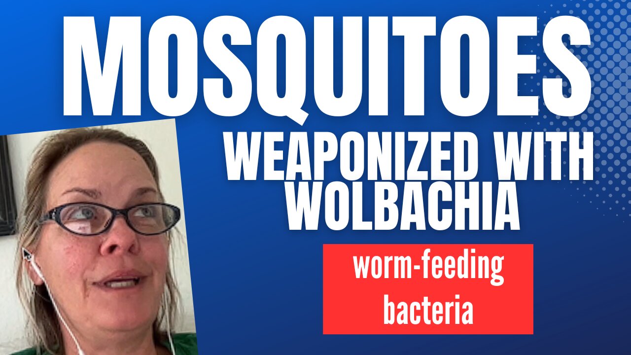Mosquitoes Weaponized with Wolbachia, Worm-Feeding Bacteria
