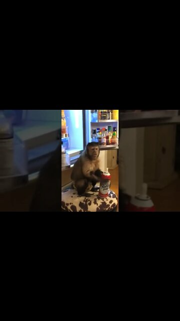 Oldie but goodie #Shorts