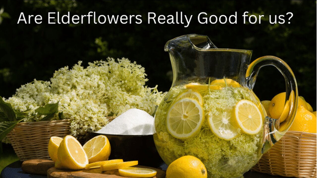 Are Elderflowers Really Good For Us?