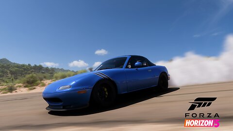 FH5 Chillin