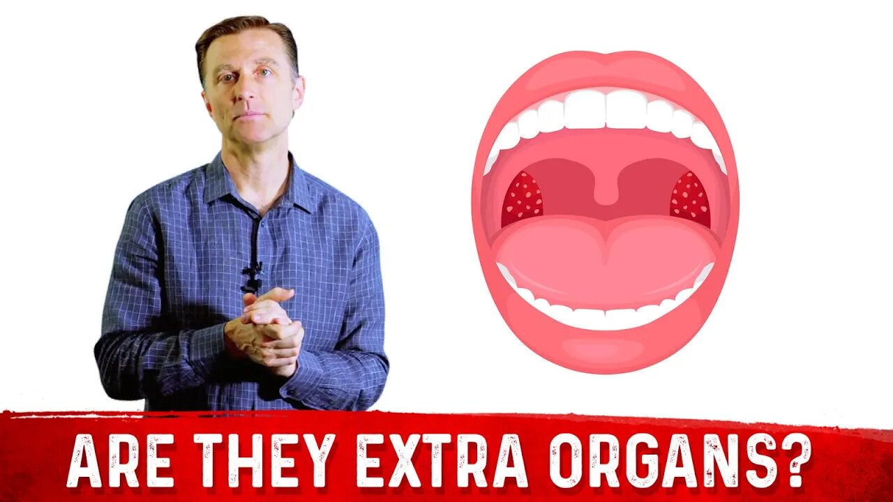 What is Tonsils & Do You Need Them? – Dr.Berg