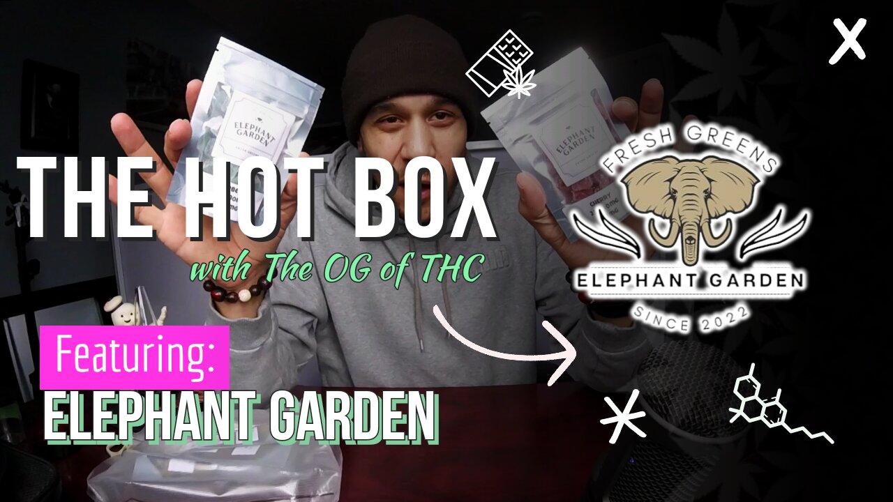 NEW HYBRID QUADS & GUMMIES | THE HOT BOX 🔥 📦 - ELEPHANT GARDEN