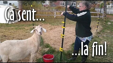 Investissement #AUTOSUFFISANCE... Ça sent la FIN! #185