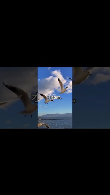 一句话开悟20220522