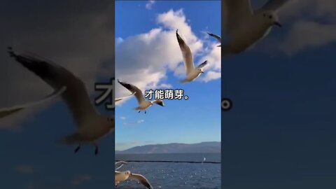 一句话开悟20220522