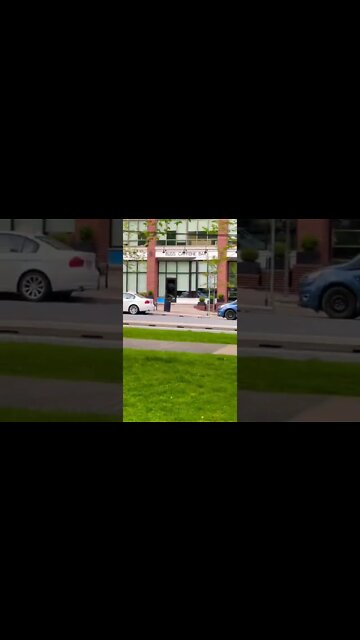 Bliss Caffeine Bar in Halifax NS