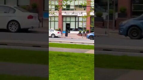 Bliss Caffeine Bar in Halifax NS