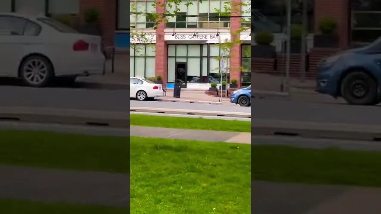 Bliss Caffeine Bar in Halifax NS