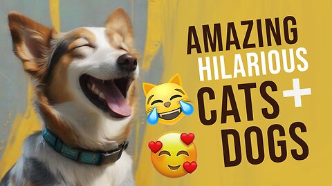 30 Minutes of Hilarious CATS + DOGS