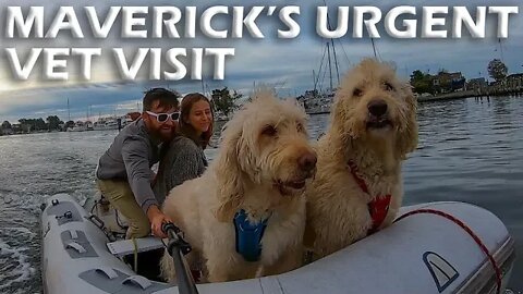 Maverick's Urgent Vet Visit - S5:E04