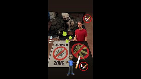 🚭 Marijuana 🚬 May Hurt Smokers More Than Cigarettes Alone