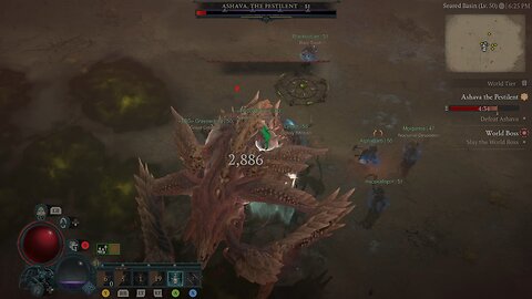 My first world boss kill in Diablo IV
